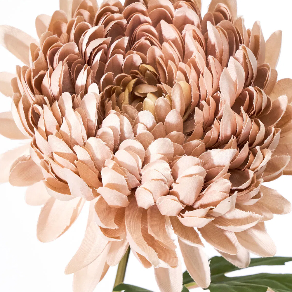 Artificial flower, HDChrysanthemum, Staubige Rose HOUSE DOCTOR – Bild 4