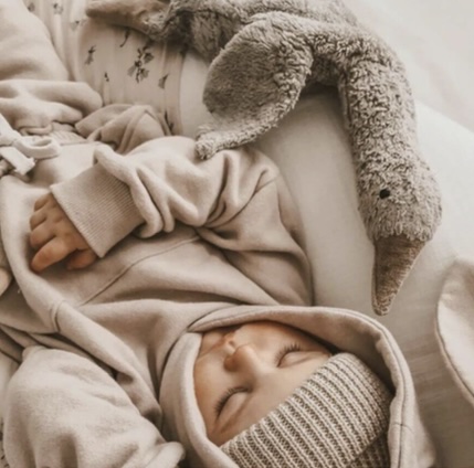 Kuscheltier und Wärmekissen Graugans SENGER – Bild 2