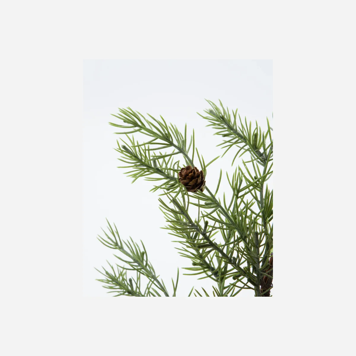 Kranz, HDFrost, Grün von HOUSE DOCTOR – Bild 4